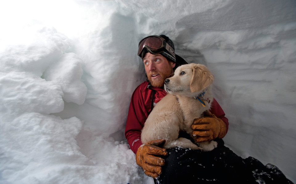 The Dog Days Of Winter Park City Magazine