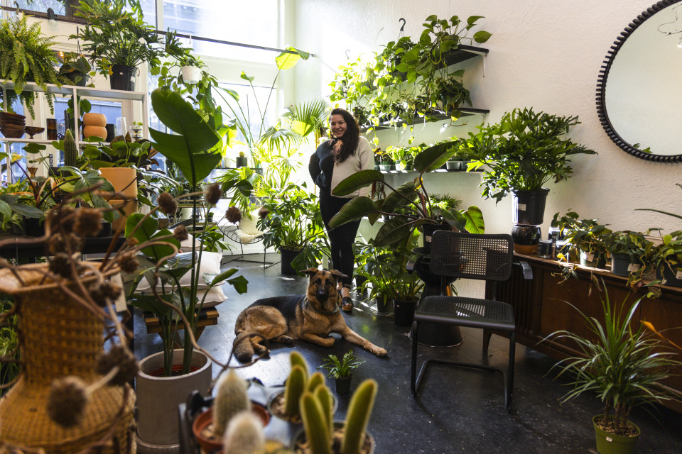 He Sold Plants From Home To Earn Extra Cash. Now, He's Opening A Store In  Humboldt Park Thanks To Pandemic Plant Craze