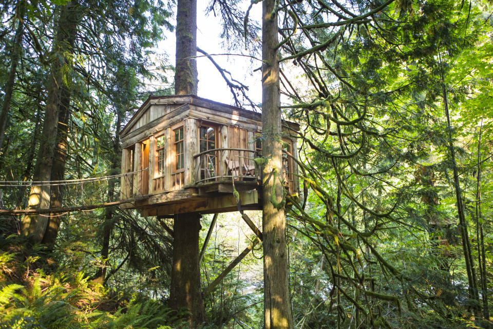 10 Tree House Retreats For The Perfect Cascadian Summer Getaway