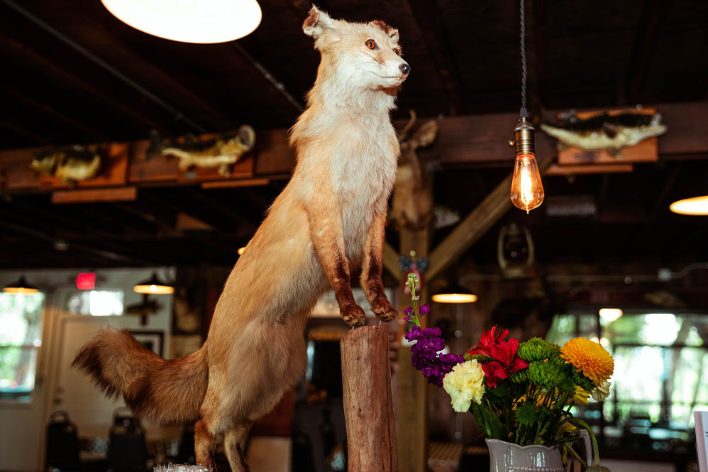 Weird, Wonderful Linger Lodge Has Reopened in Manatee County