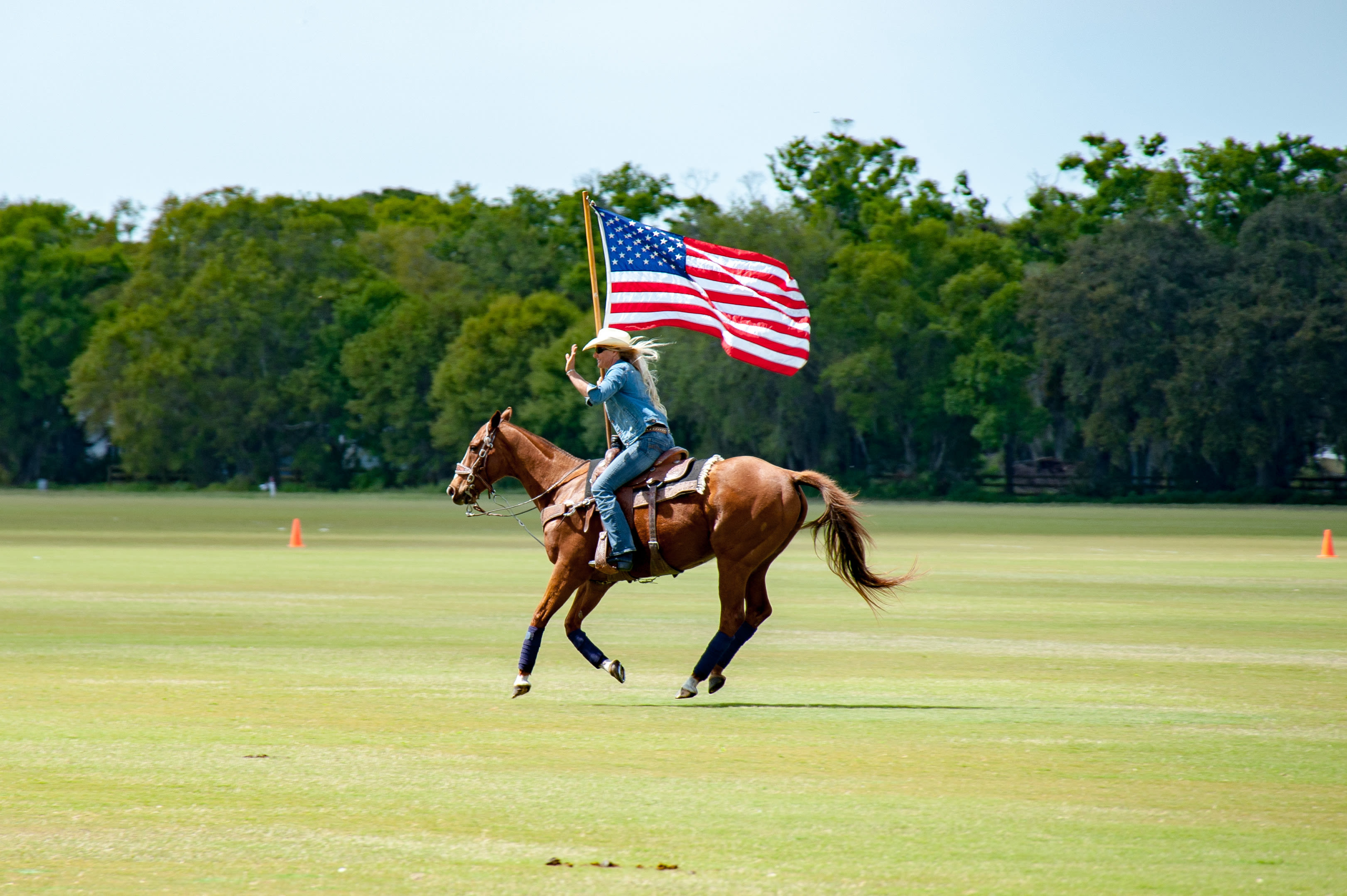 Nates Ponies For Pups Sarasota Magazine