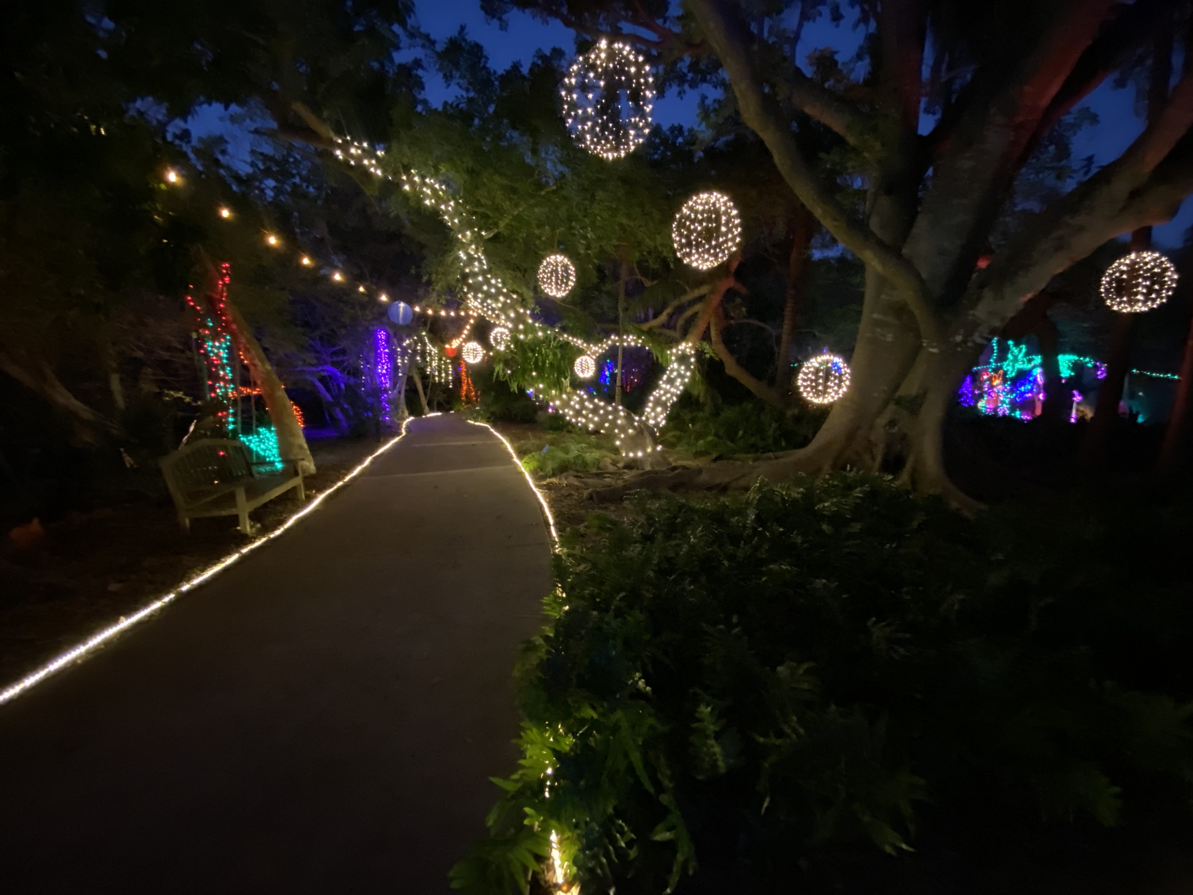 Selby Gardens' Lights in Bloom Returns Dec. 10 Sarasota Magazine