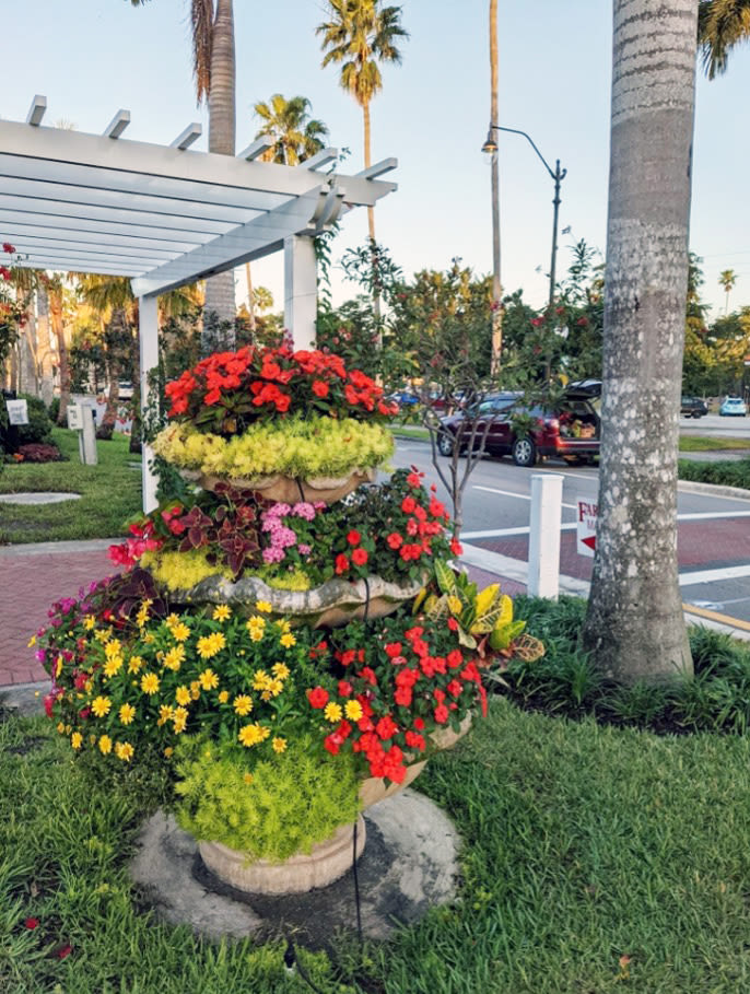 Venice Wins National 'America in Bloom' Award | Sarasota Magazine