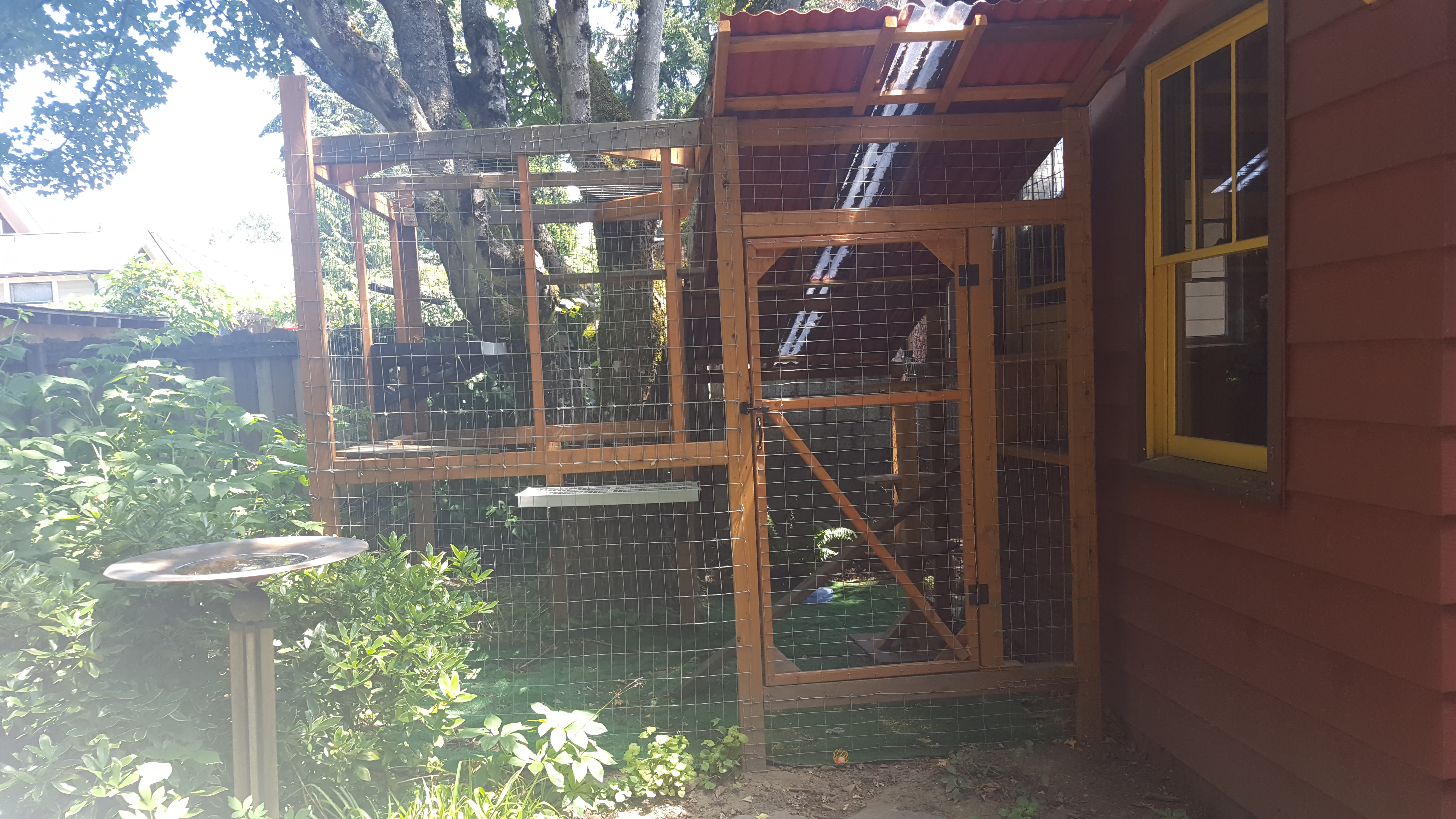 portland oregon catio tour