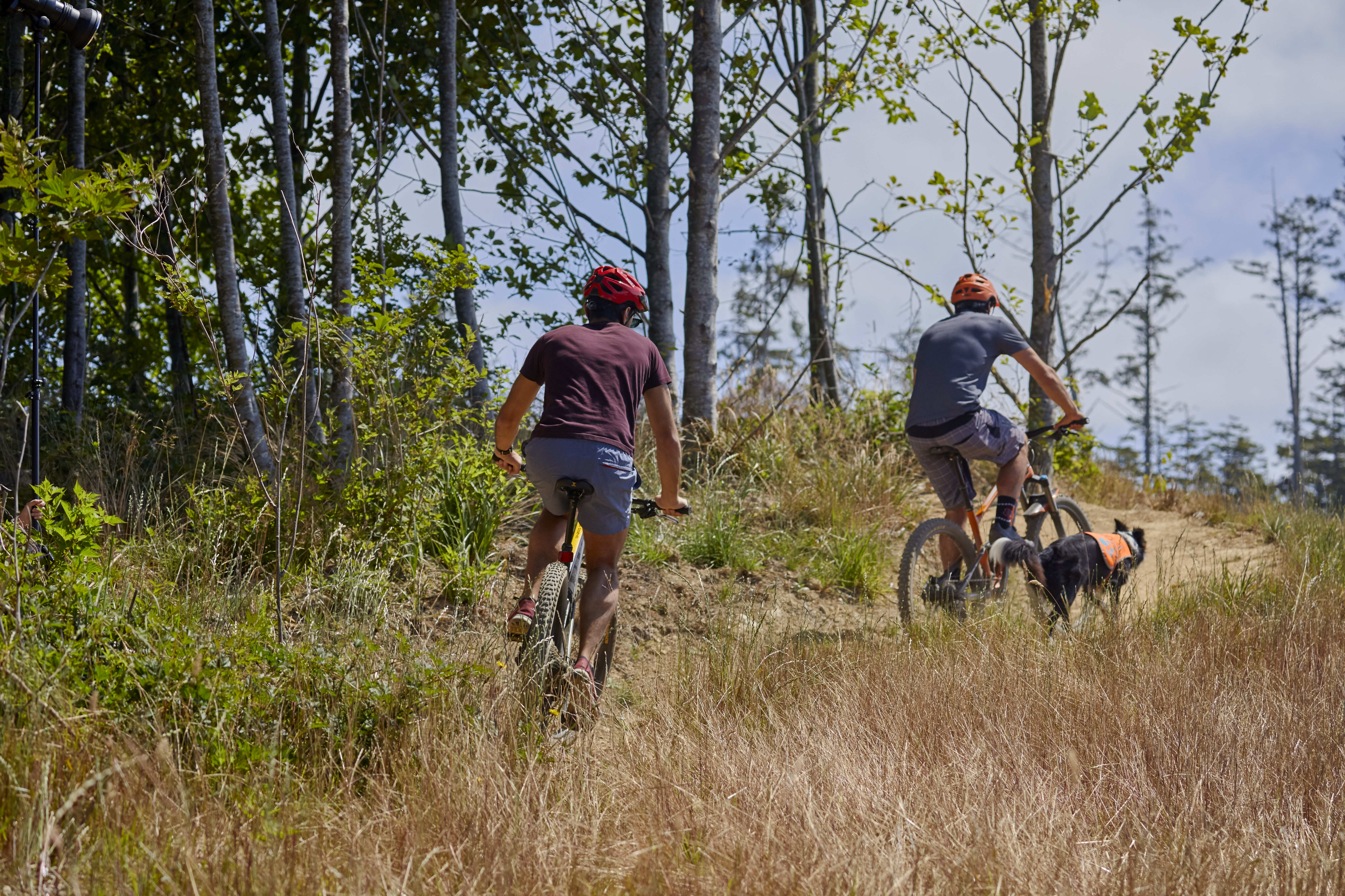Seabrook A Destination for Spring Break and Beyond Seattle Met