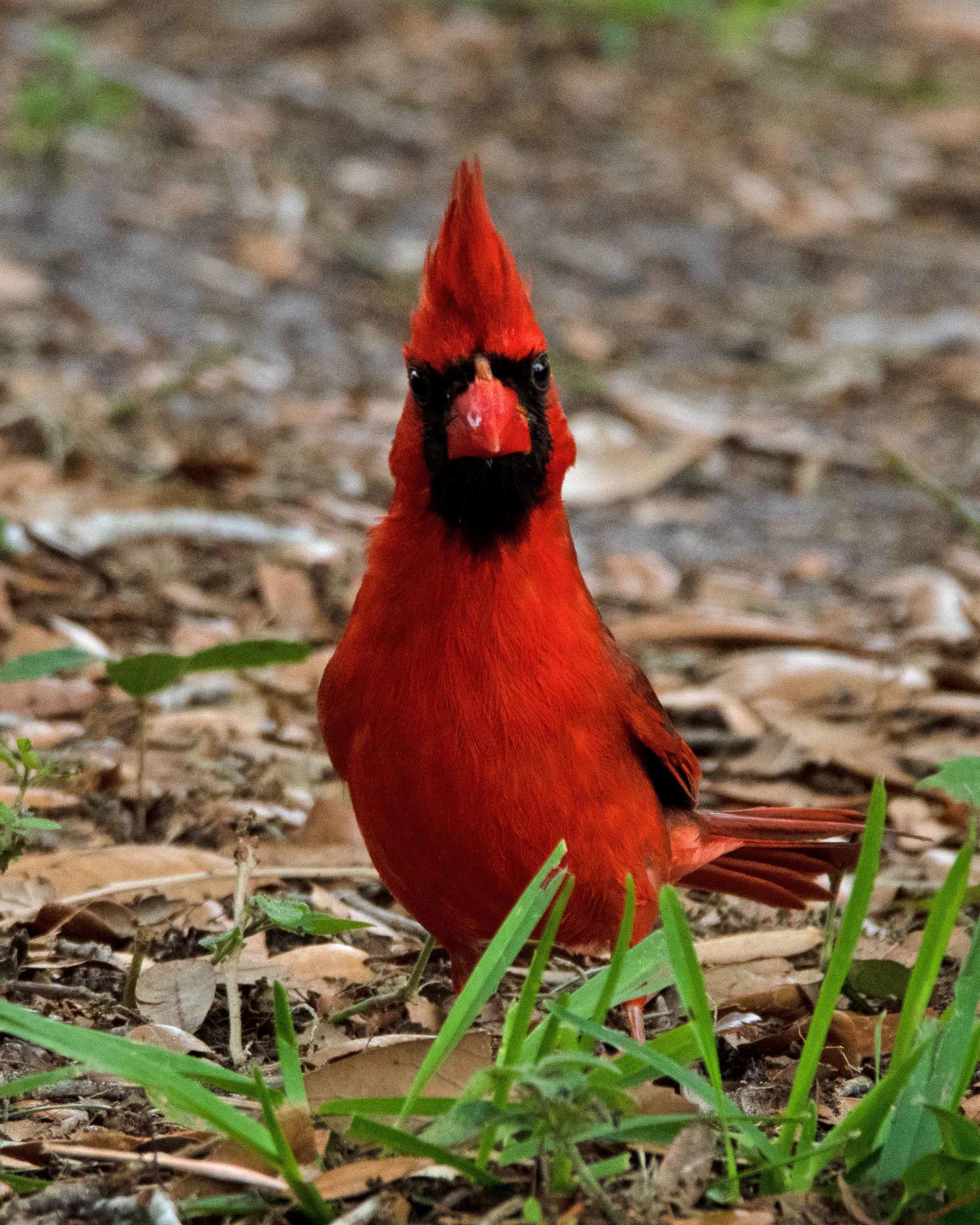 see-the-conservation-foundation-s-summer-photo-contest-winners