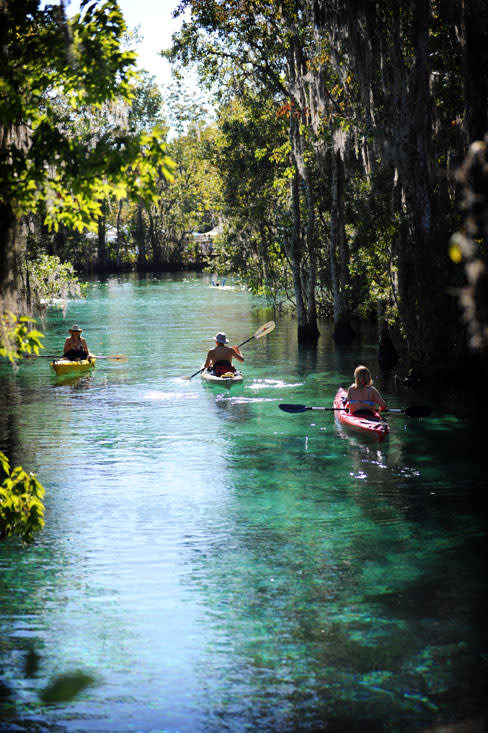 Oldflorida4 wfbr4k