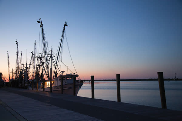 Apalach oysters jtt1ew