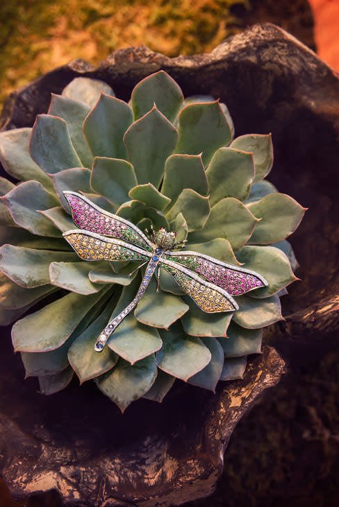 Jewels dragonfly nnytwj