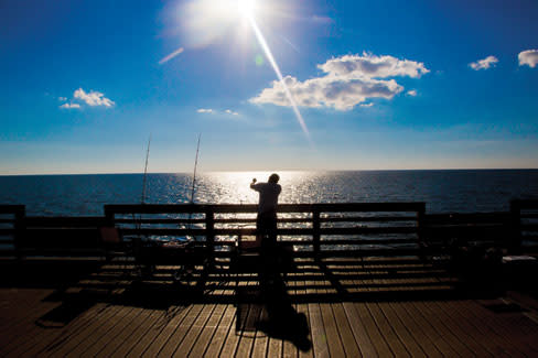 Pier Pressure - The Secret Shore Fishing Spots of Sarasota