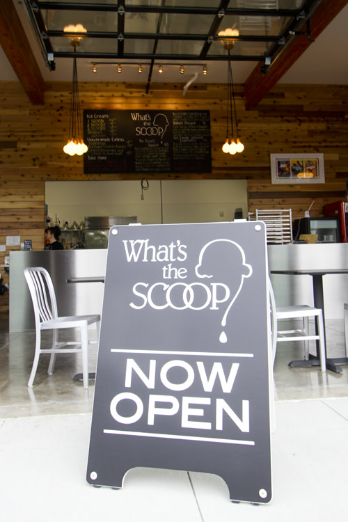 the scoop ice cream shop