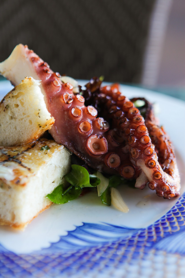 Crab & Fin Restaurants Sarasota Magazine