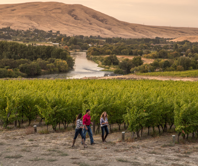 The Best of Washington Wine 2017 The Year's Top 100 List Seattle Met