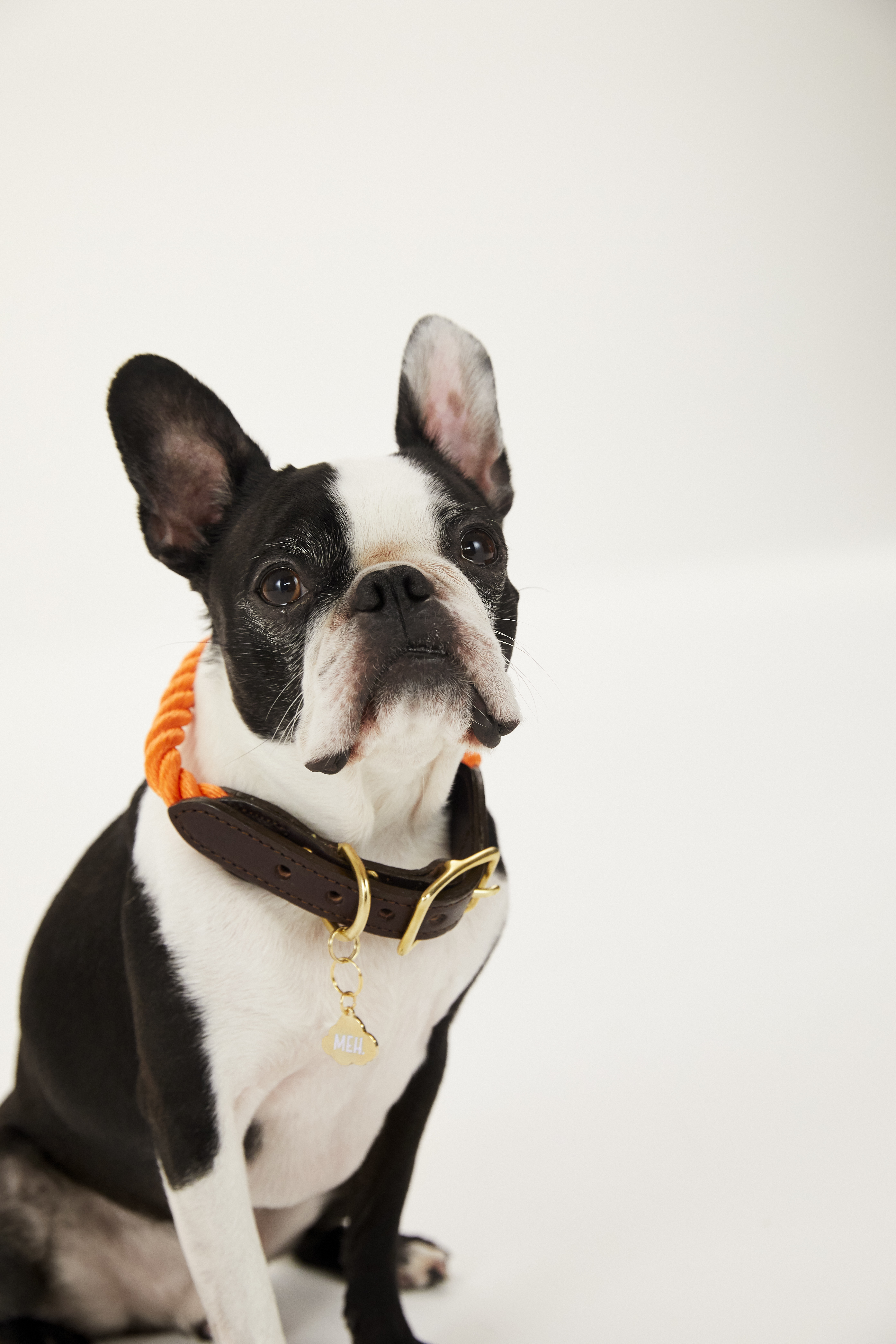 Nordstrom's Year of the Dog Pop-In Has Arrived