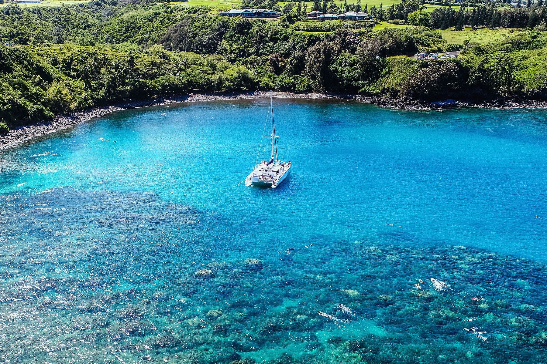 trilogy III in honolua bay