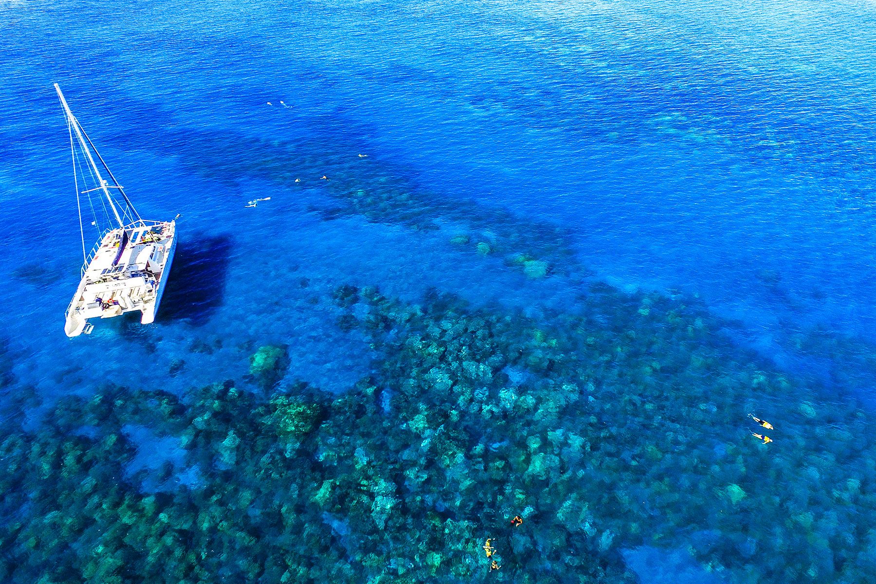 gallery5 trilogy boat floating over honolua bay reef