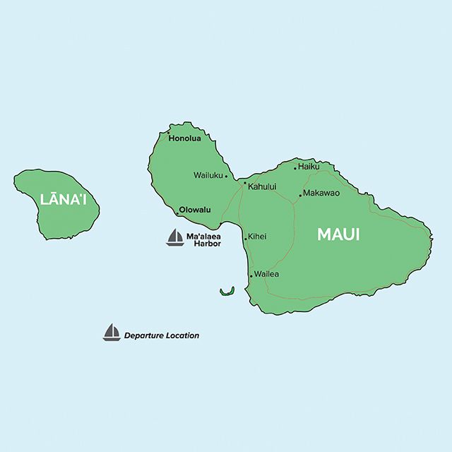 whale tours maui