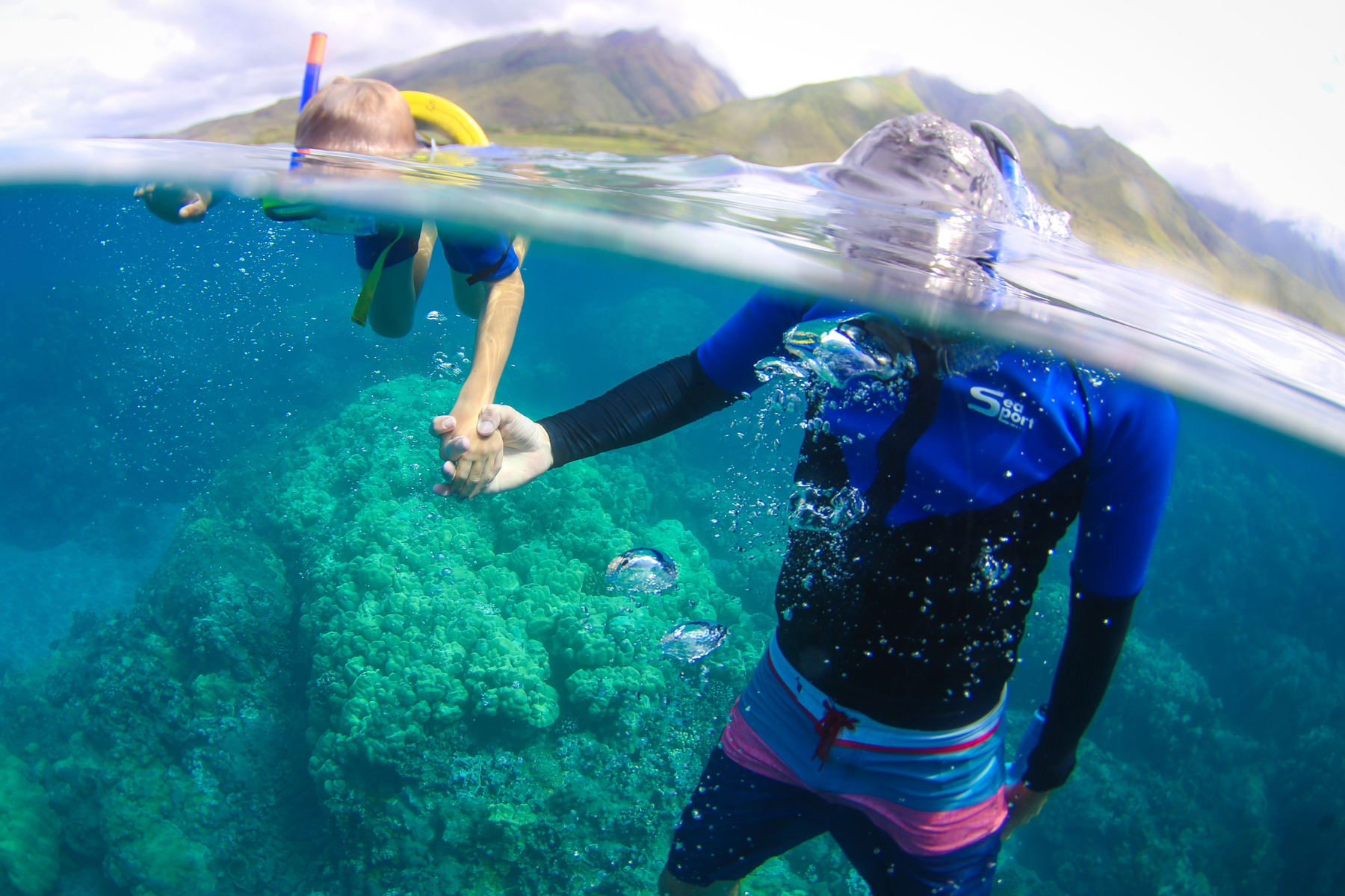snorkeling west maui olowalu