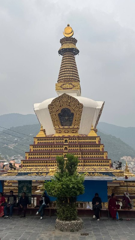 img7
