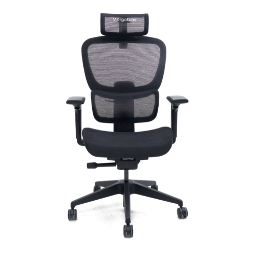 ErgoTune Joobie Ergonomic Chair