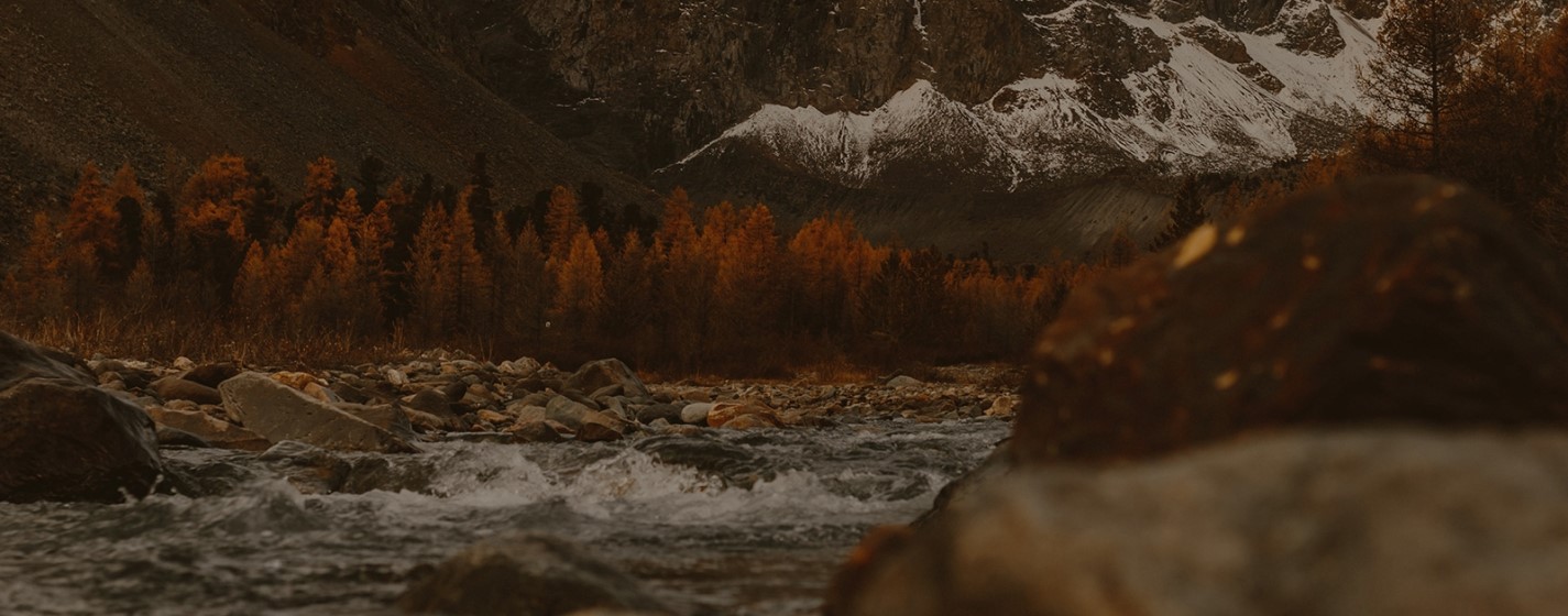 intro-banner