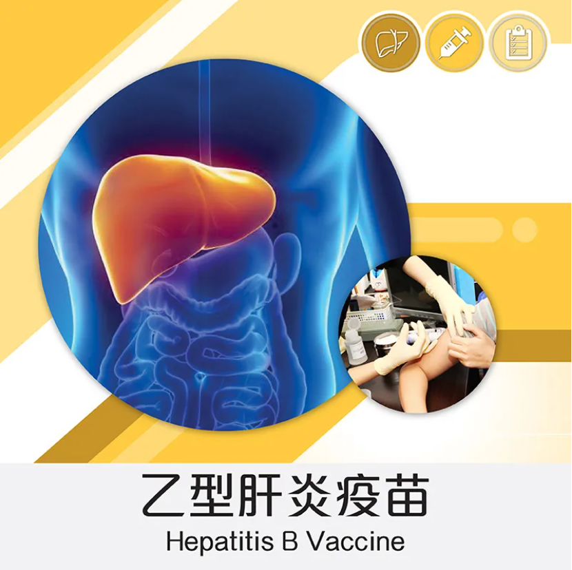 Hepatitis B Vaccination 3 Doses