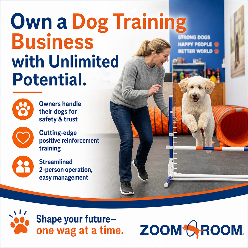 Zoom Room Dog Training 4 ad creative