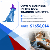 The Dog Wizard ad