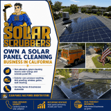 Solar Scrubbers ad