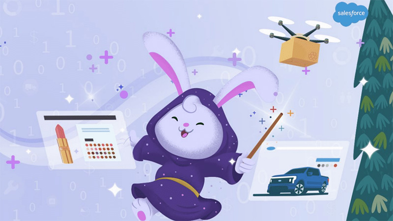 Salesforce Genie - SalesforceCodex