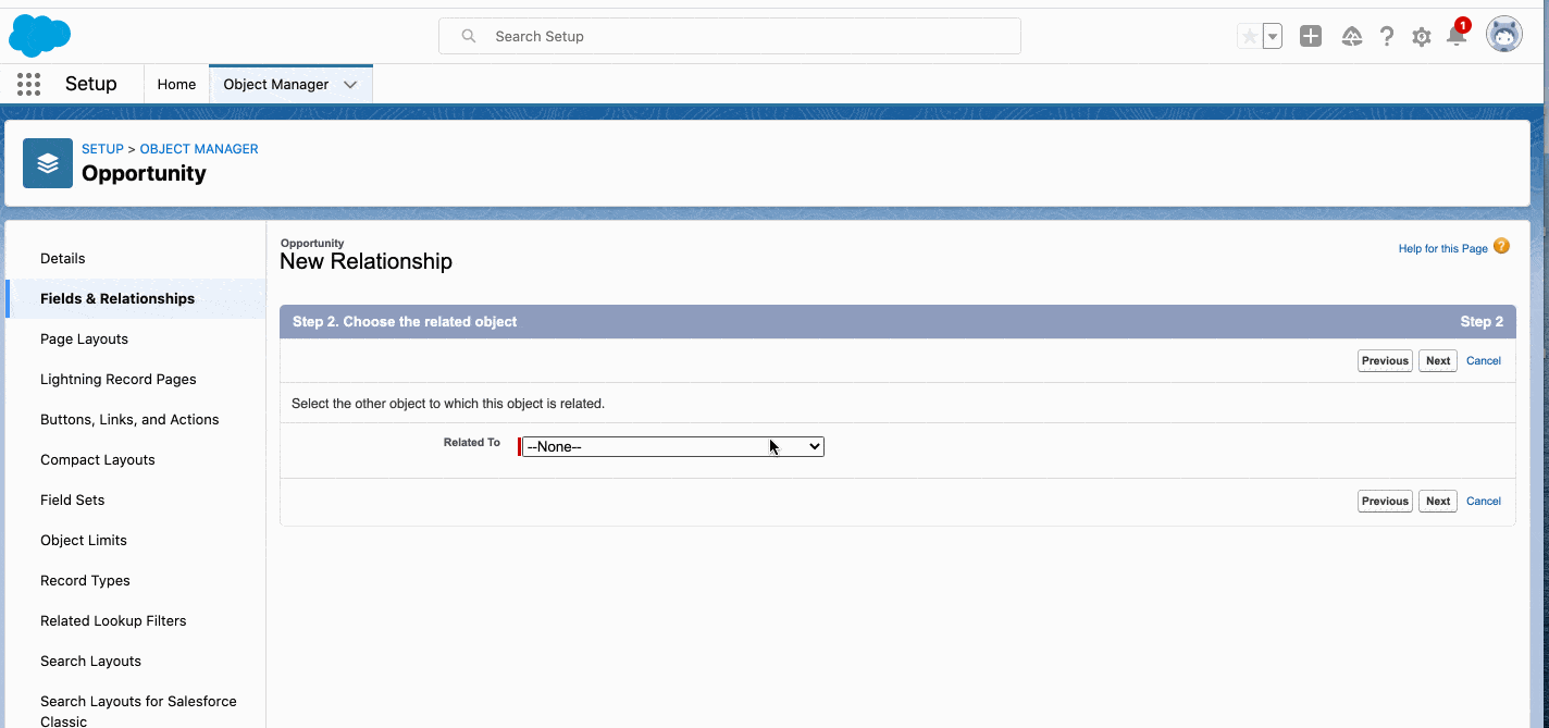 Lookup Relationship in Salesforce - Relationship in Salesforce