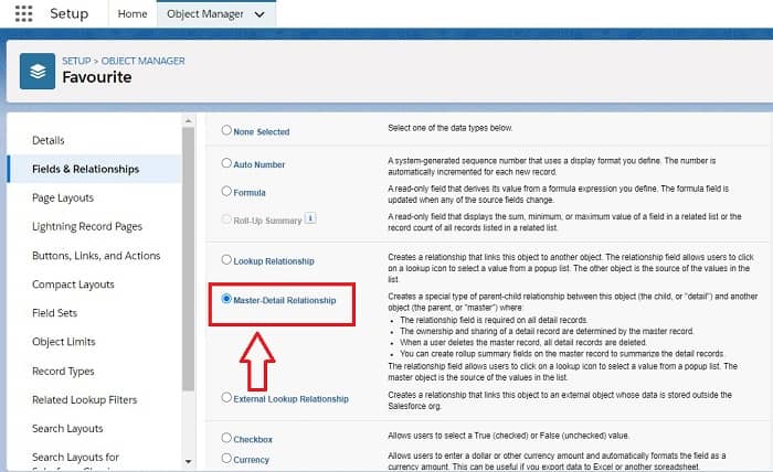 Master Detail Relationship in Salesforce - Types of Relationship in Salesforce