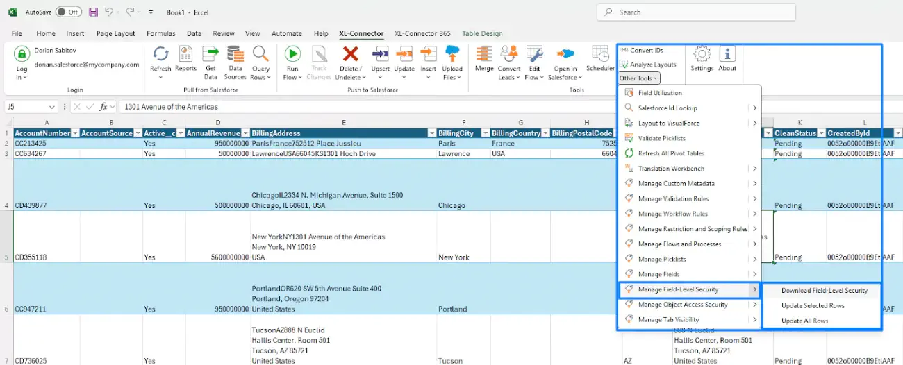 Edit Salesforce Metadata in Excel
