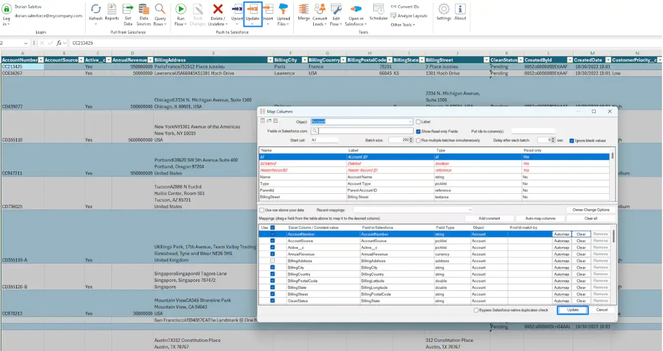Import Salesforce Data in Excel