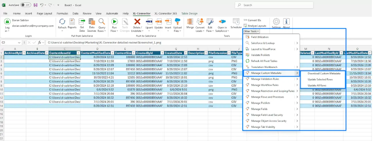Export Salesforce Metadata to Excel