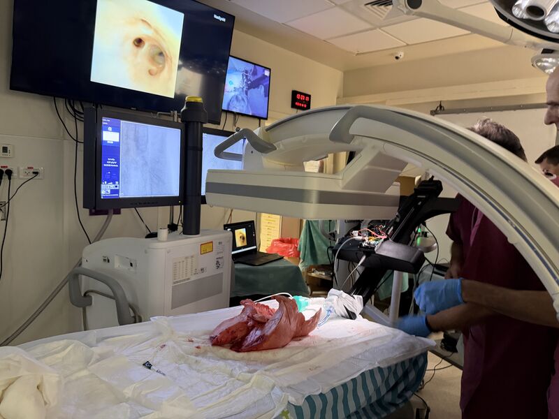 3D airway modeling and navigation visualization