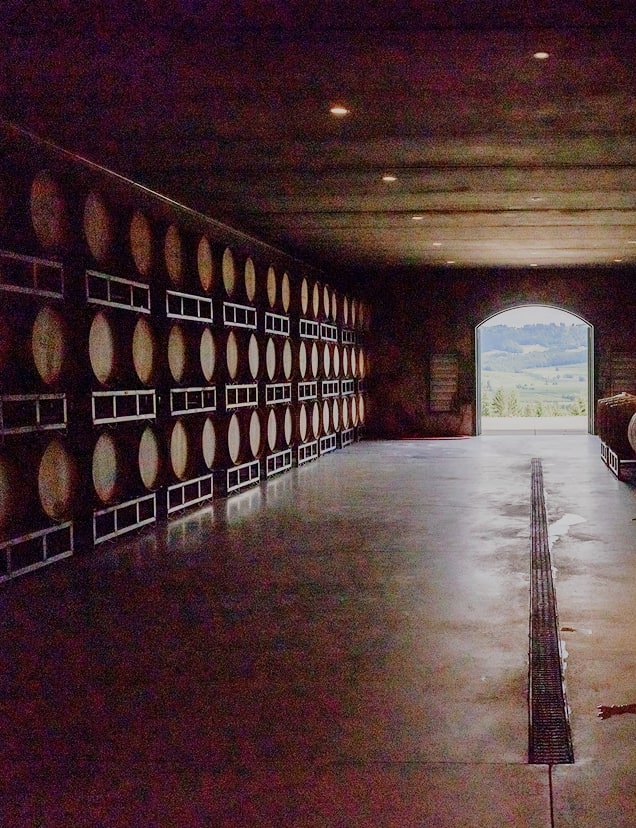A wine cellar with rows of wooden barrels stacked on racks against concrete walls and a large wooden door at the far end.