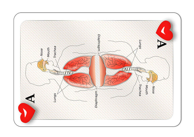 Playing Card Design Depicting Respiration