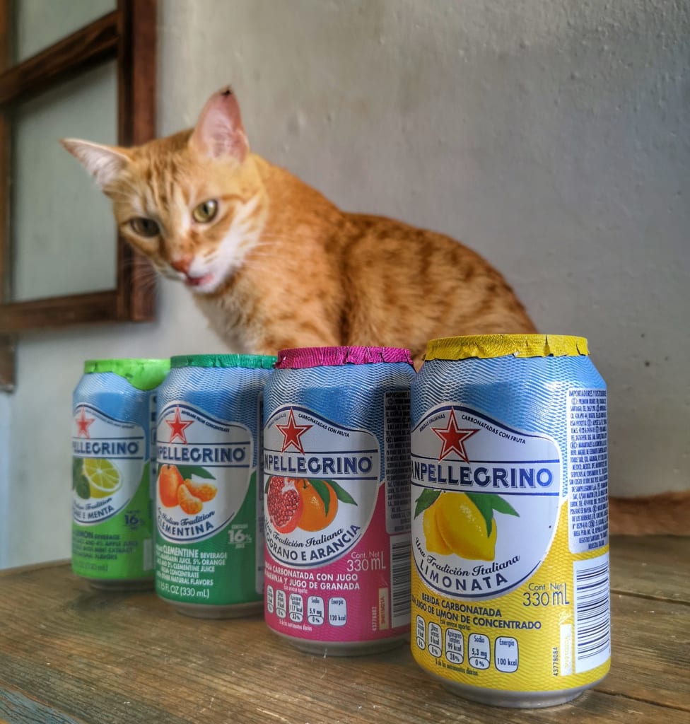 My cat Squanchy is curious about the 4 different Sanpellegrinos Fruit Sodas I have bought.