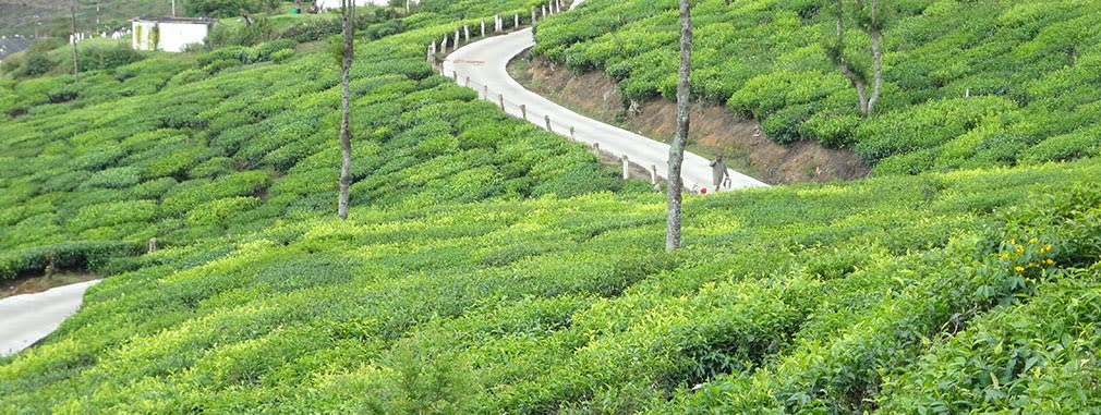 Top_Station_Kundala_Smooth_Roads