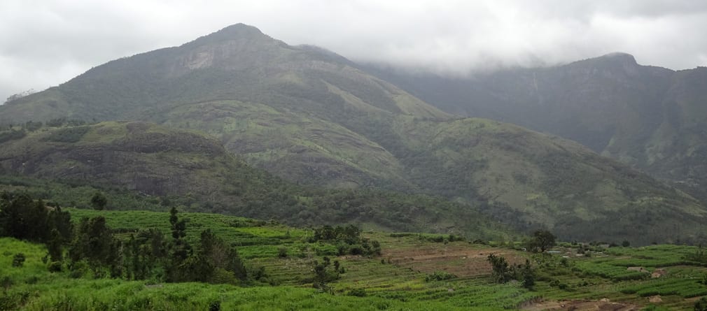 Marayoor