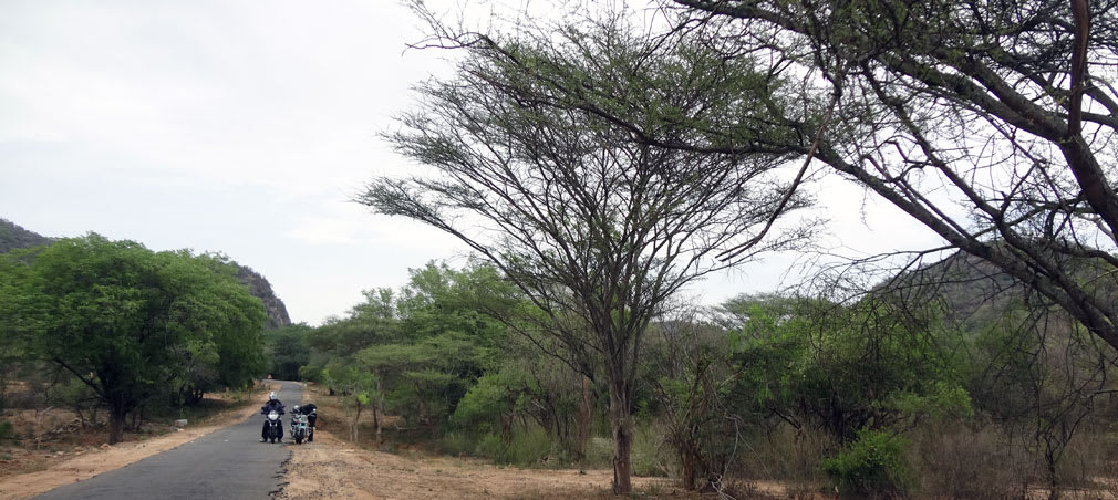 Anamalai_Tiger_Reserve_Halt