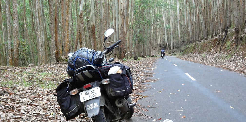 Pampadum_Shola_National_Park_We_Are_All_Stardust