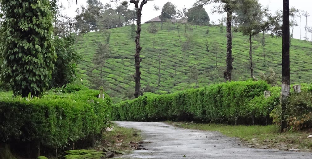 Towards_Valparai_Roads