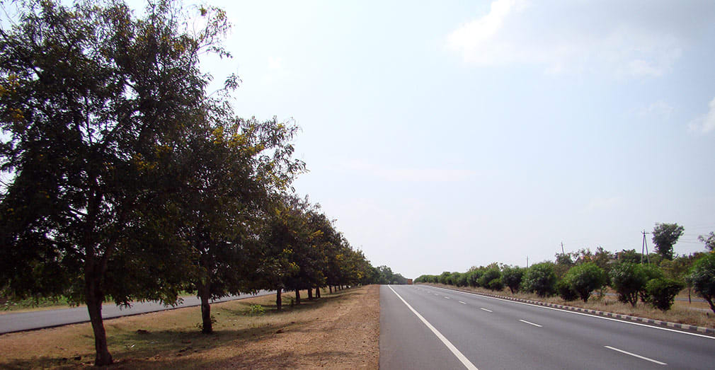 The_Road_Goes_On_And_On