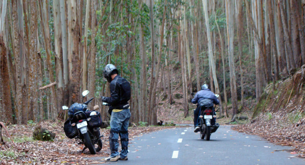 Pampadum_Shola_National_Park