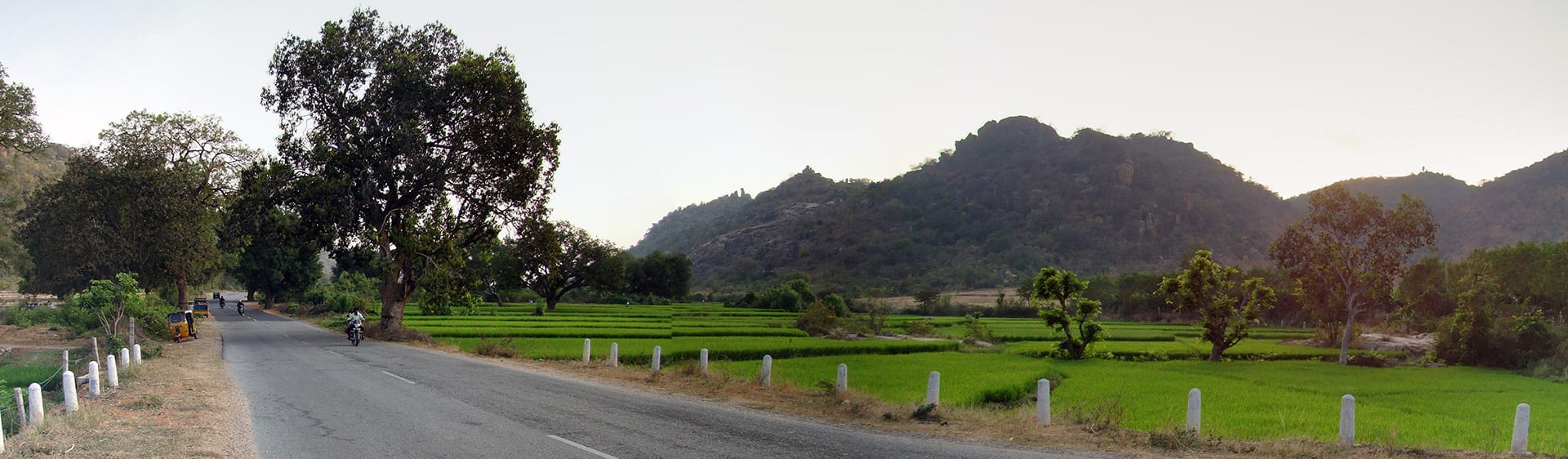 Road_Panorama_View