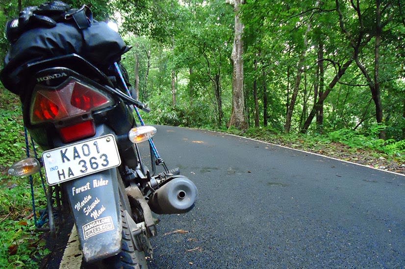 Martin_The_Forest_Rider