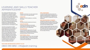 Learning and Skills Teacher Apprenticeship fact sheet