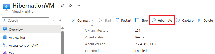 Hibernate Button